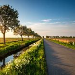 Image d'illustration du mot "accotement"