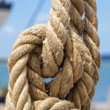 Image d'illustration du mot "�lingue"