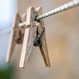 Image d'illustration du mot "pince"